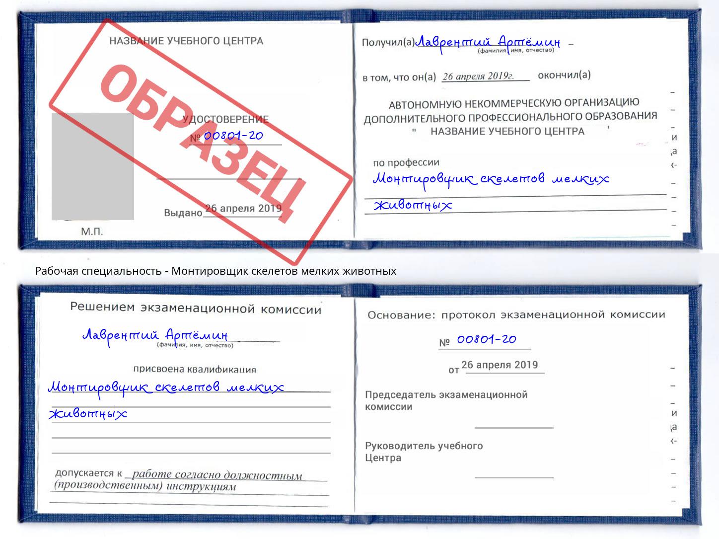 Монтировщик скелетов мелких животных Алатырь