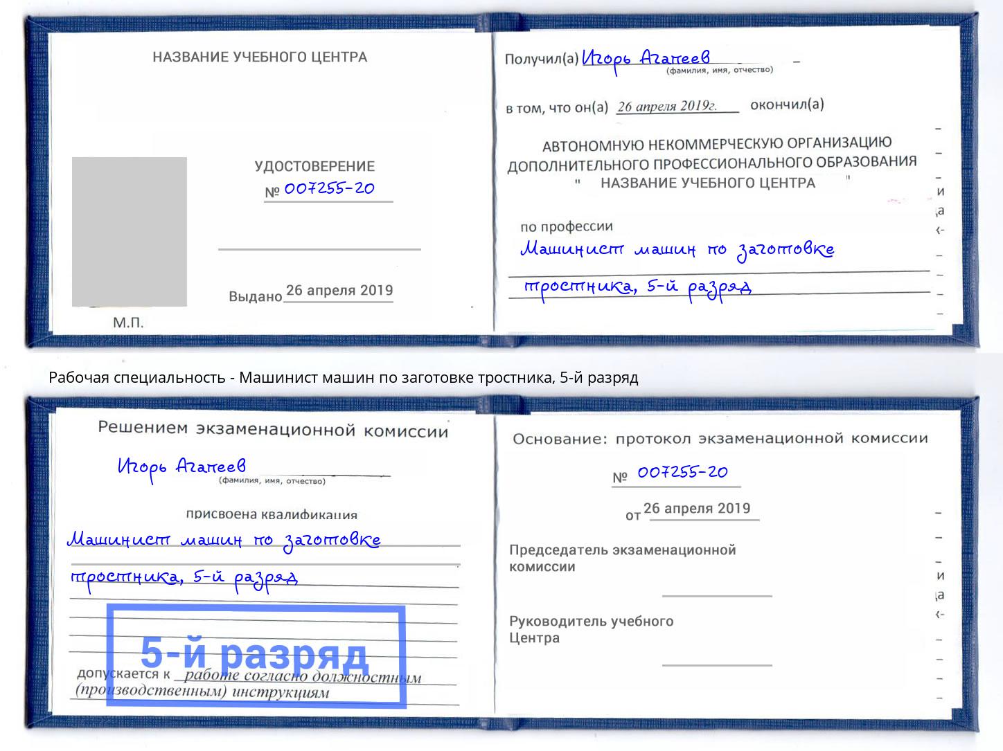 корочка 5-й разряд Машинист машин по заготовке тростника Алатырь